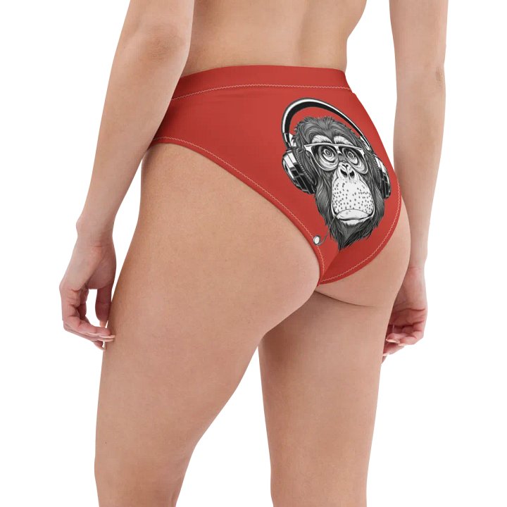 Monkey Business Chico Bikini Bottom product image (1)