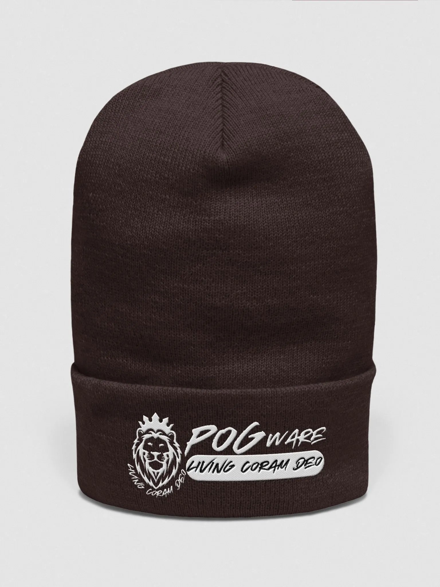 Beanie (POGware Logo) product image (1)