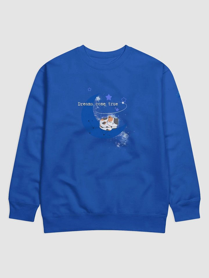 Dreamy Cat Crescent Moon Sweatshirt product image (1)