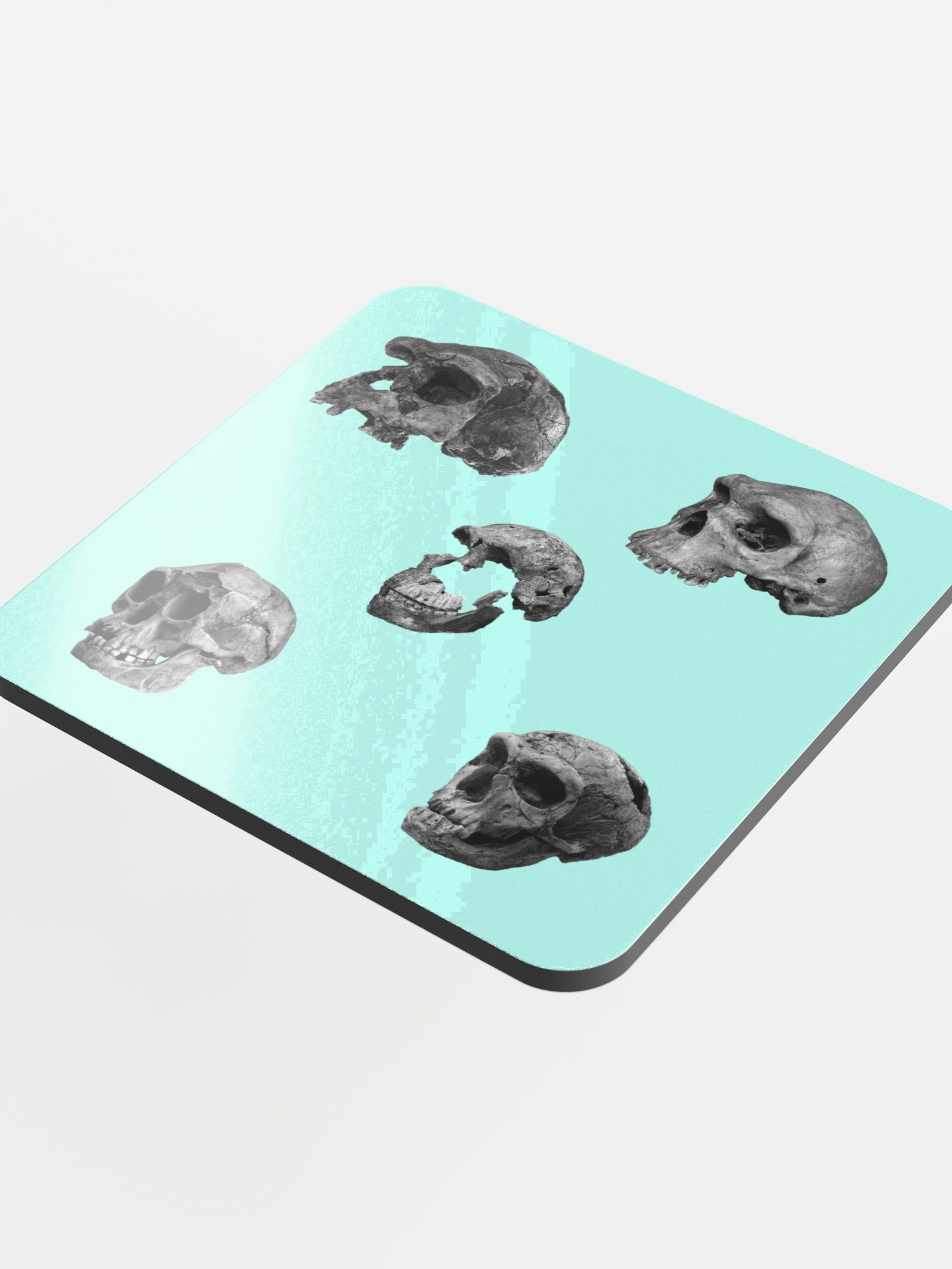 Skulls Coaster product image (4)
