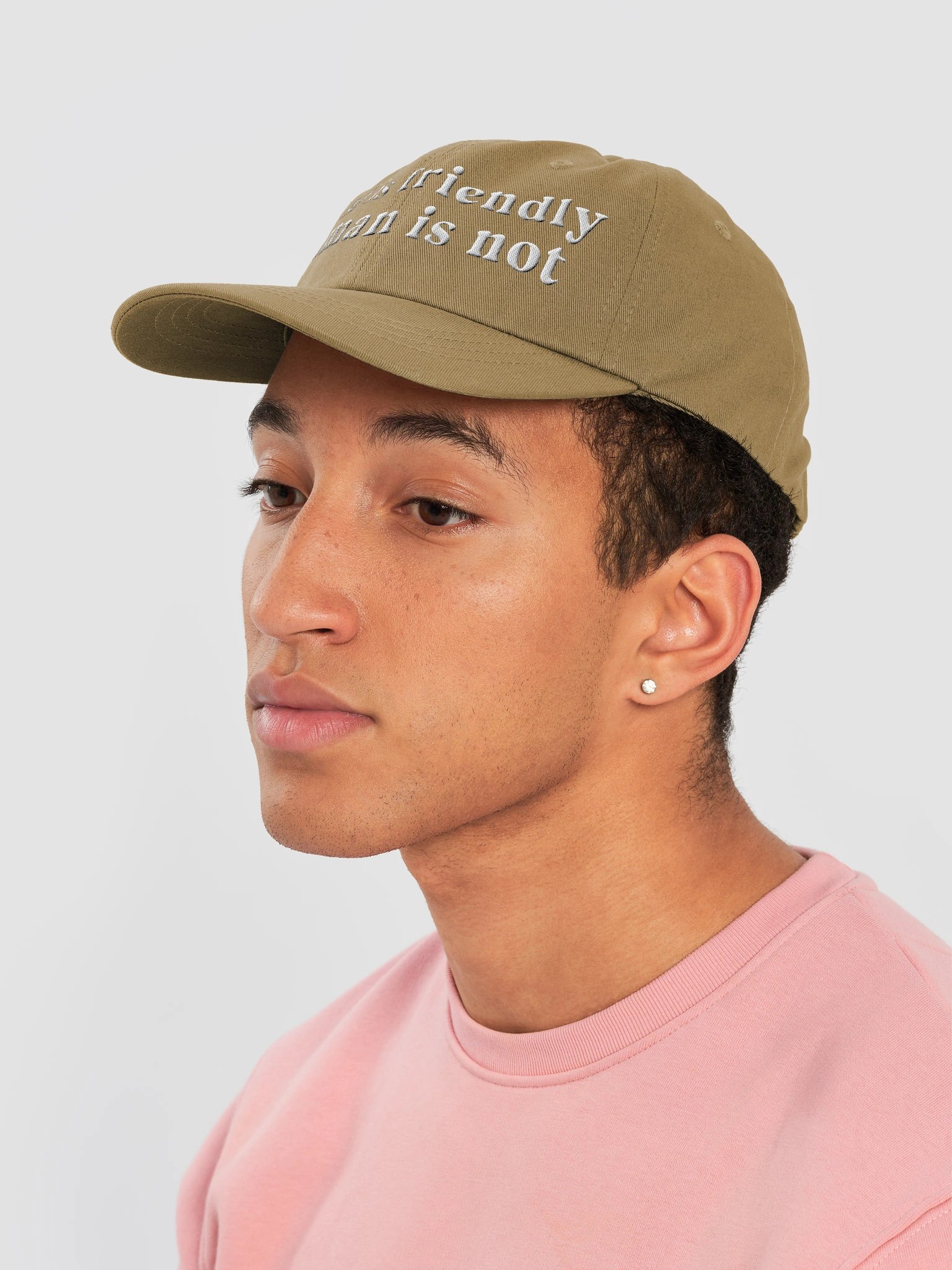 Dog Is Friendly. Human Is Not Classic Dad Hat(Embroidered) product image (7)