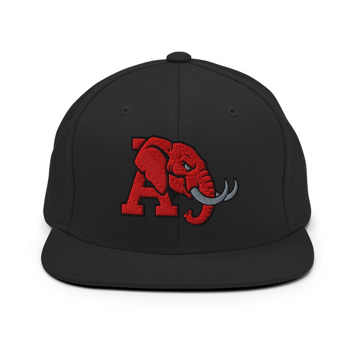 Astonishing Elephant Snapback Cap product image (2)