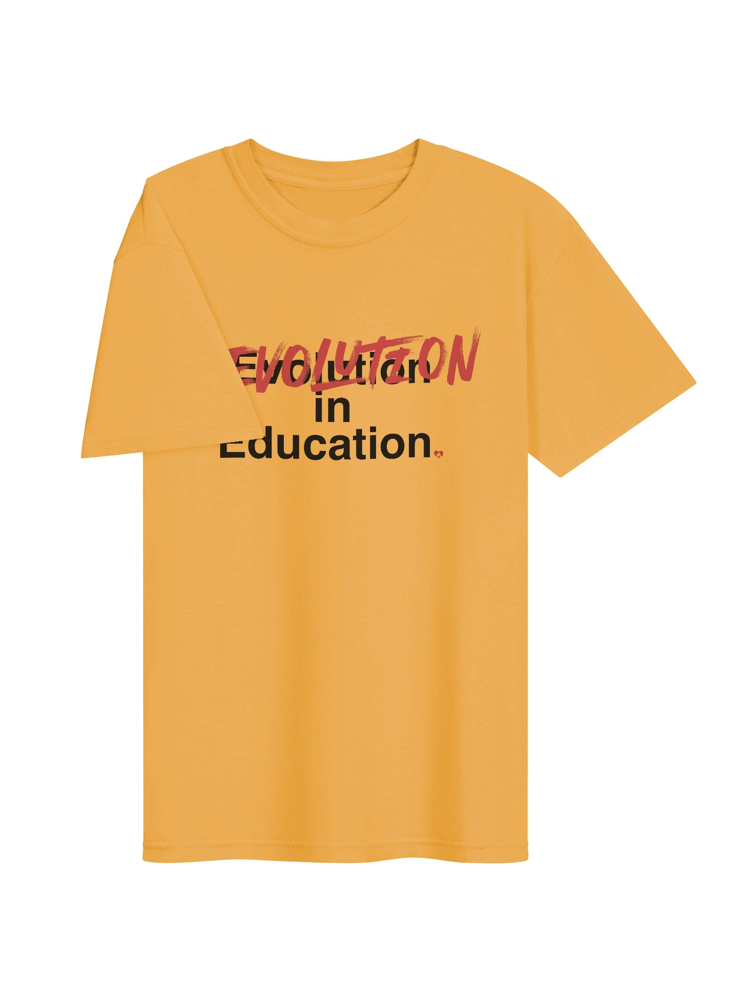 Revolution, not evolution, in Education product image (13)
