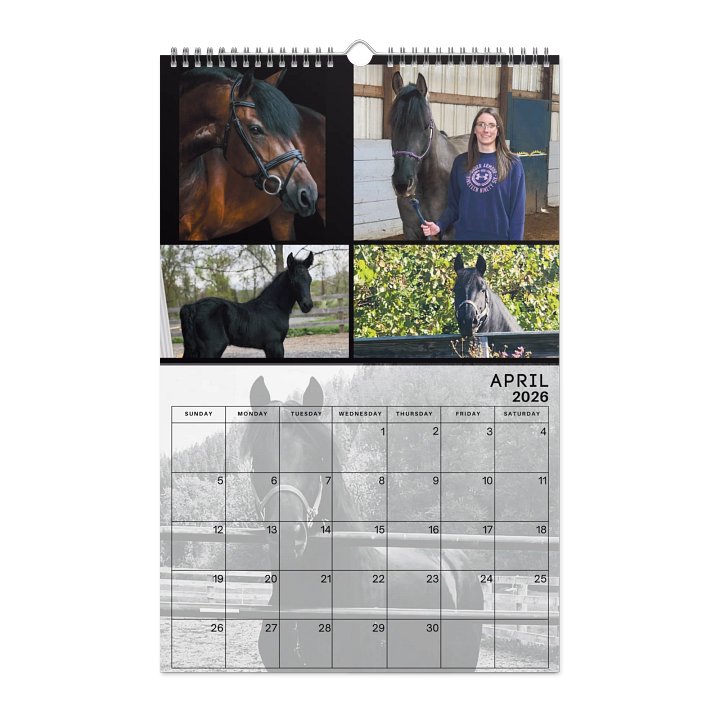 2026 Moriesian Horse Registry Calendar product image (1)