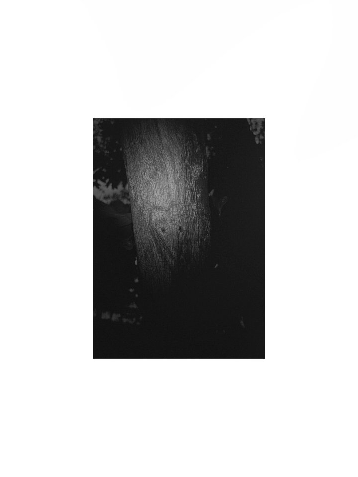 The carving (real image) poster product image (3)