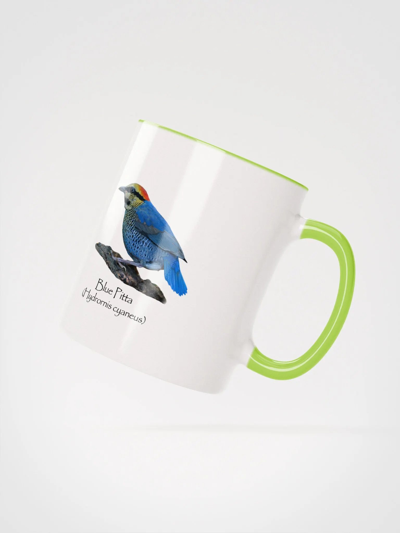 Blue Pitta mug product image (16)