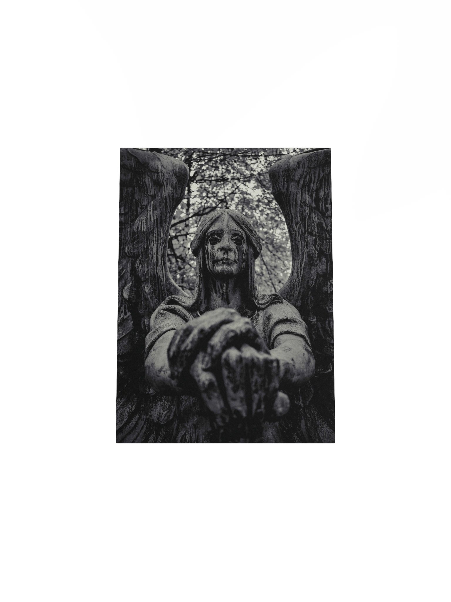 Haserot Photo Print product image (4)