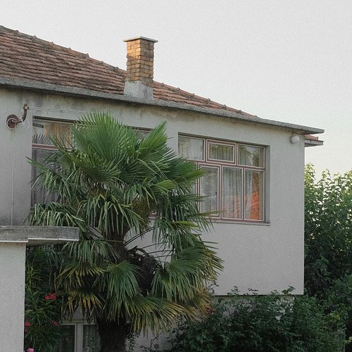 Cool house I found while on a walk.
.
.
#softminimalism #portra400 #palmtrees #35mm #architecturephotographer #fujifilm #mies...