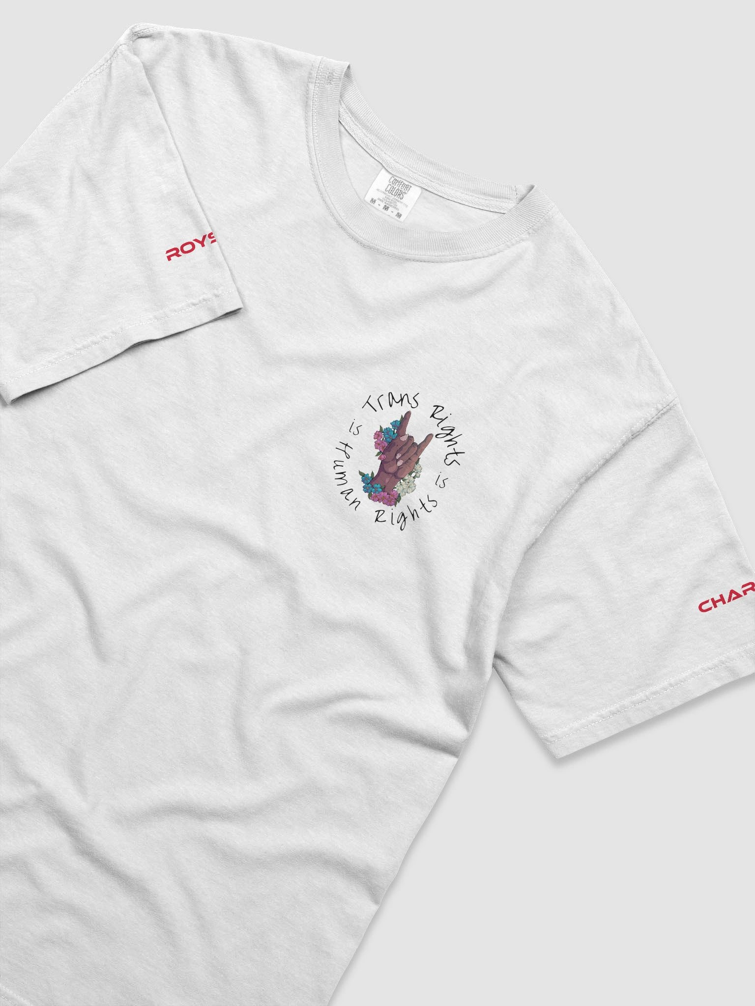 Trans Rights T-Shirt product image (2)