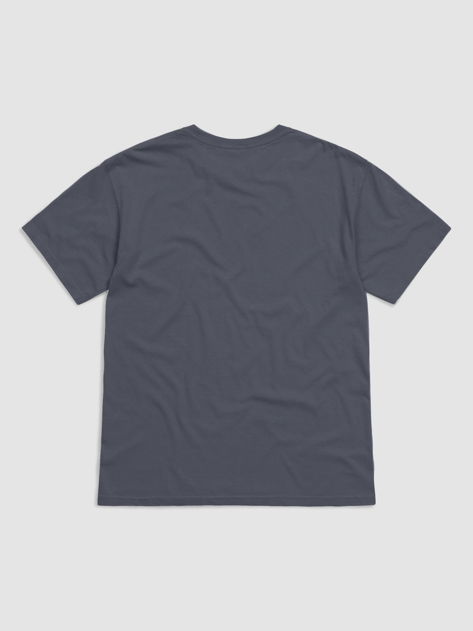 Texas Sucks tshirt product image (2)