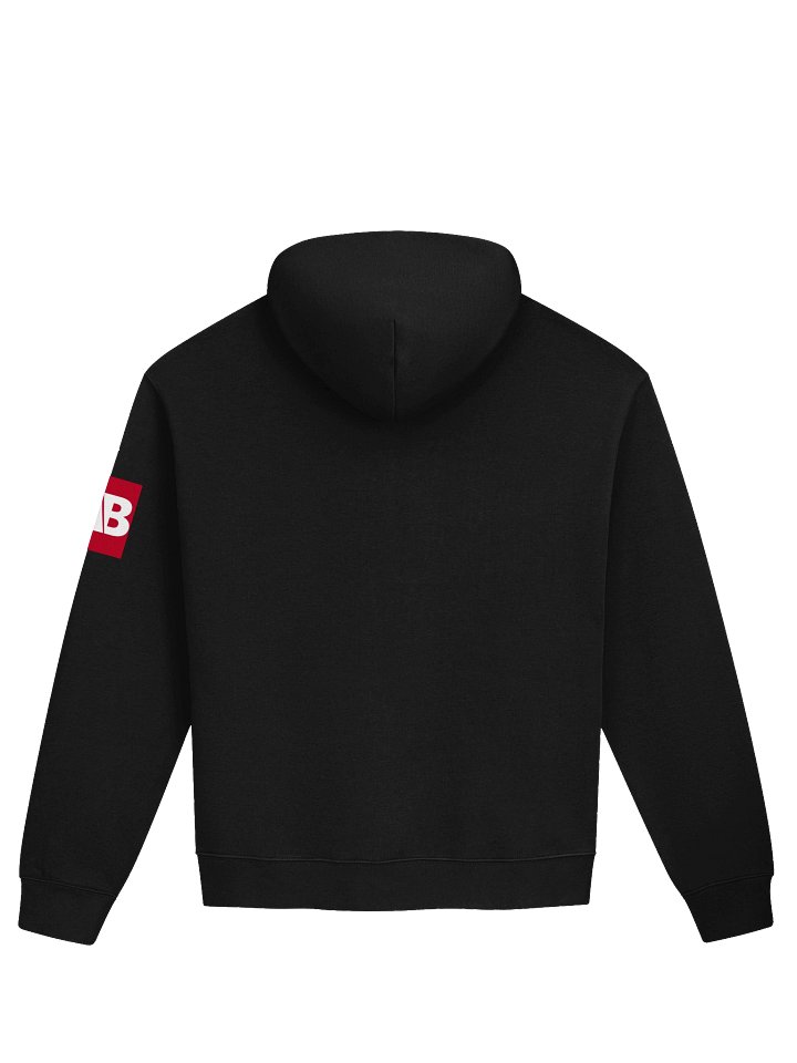 Asian Baseballers Hoodie product image (2)