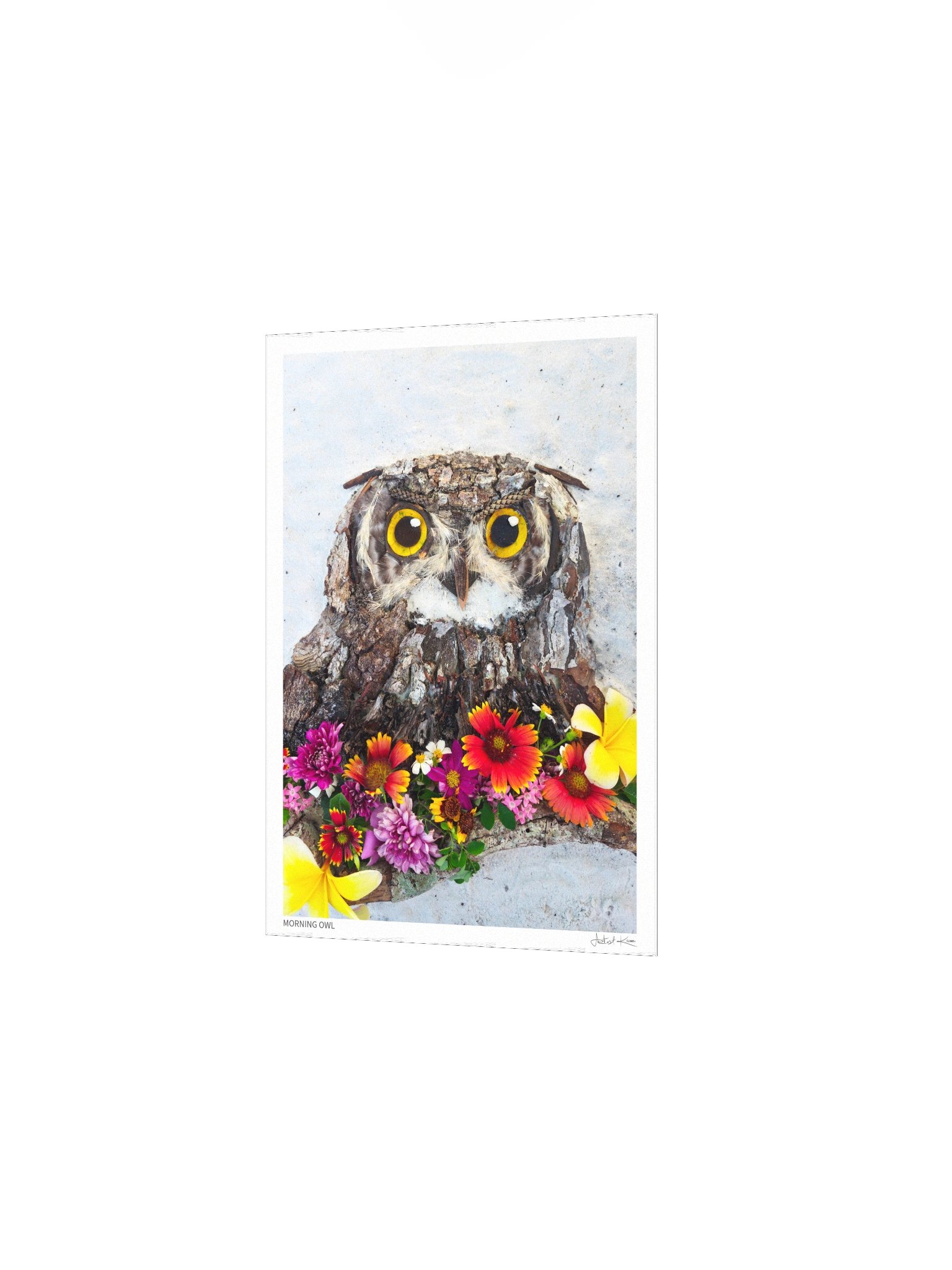 MORNING OWL | Fine Art Print product image (3)