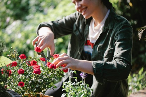 Not every gardening day needs to be a marathon 🌱💤
If you’re feeling low energy but still want to enjoy your garden, I just sh...