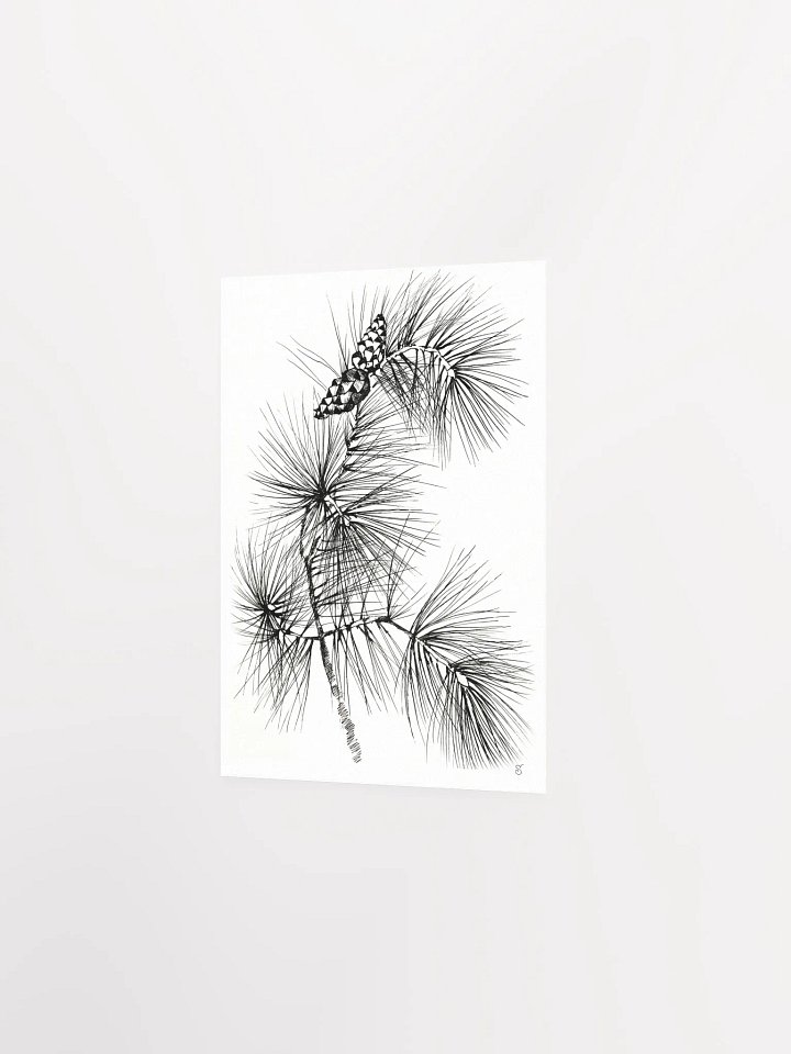 Pine Branch Serenity Poster - Pine Branch and Cones product image (7)