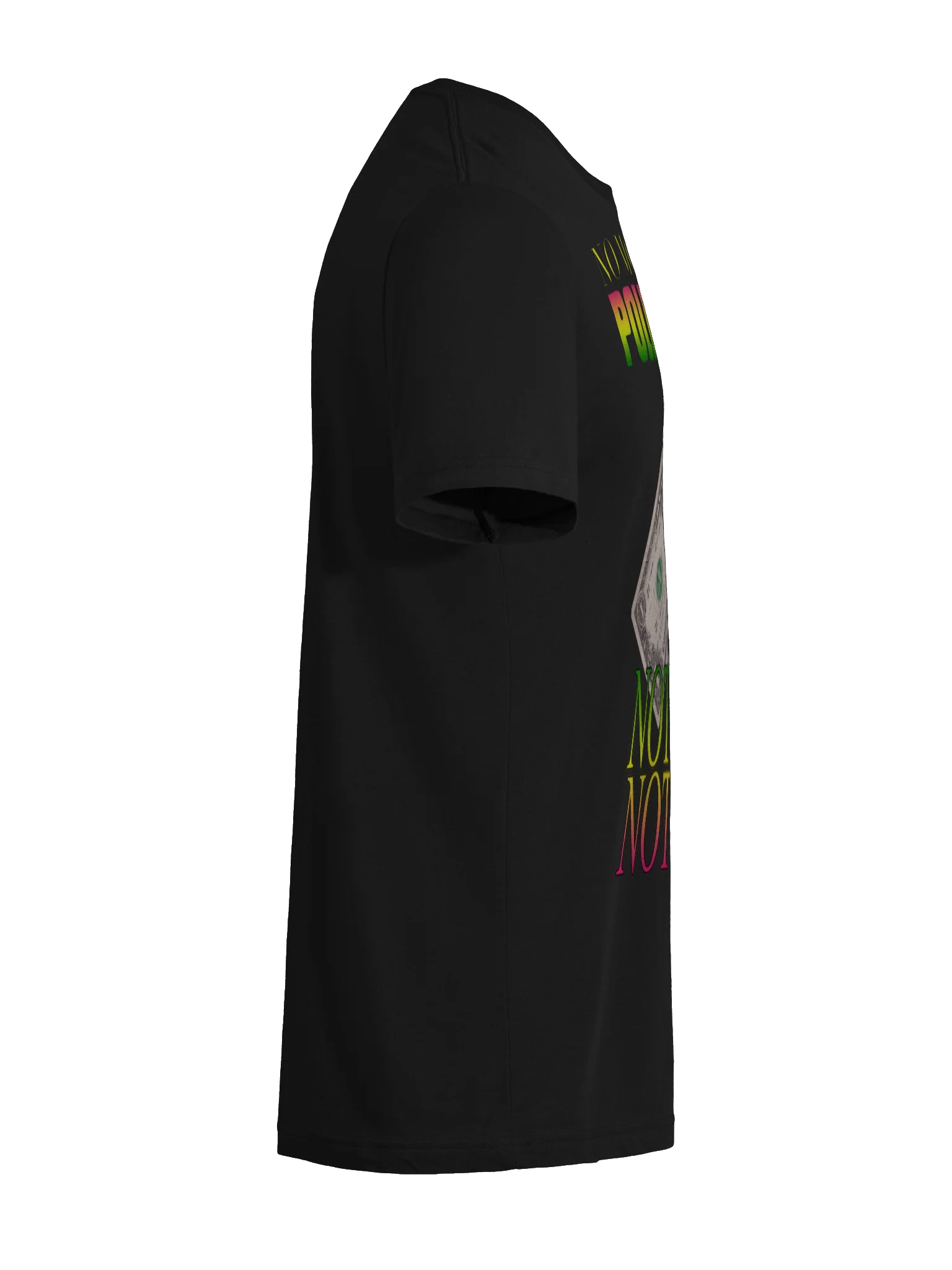 NO MONEY FOR POLITICIANS "TRI BLEND" product image (46)