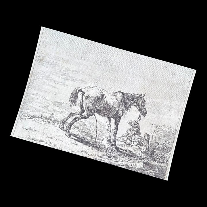 Dirk Stoop "A Pissing Horse" Vintage Equestrian Giclee Fine Art Print | 5x7 | The Ribbon Room product image (1)