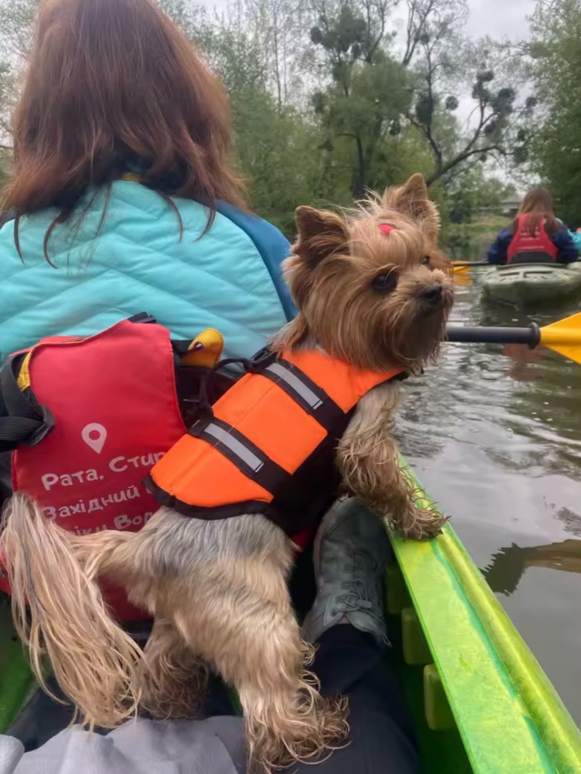 Life Jackets For Dogs and Cats product image (8)