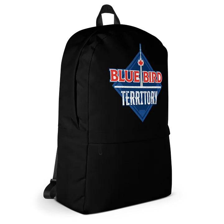 Black Backpack product image (2)