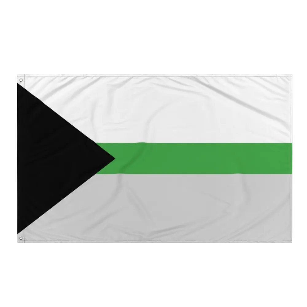 Demiromantic Flag product image (3)