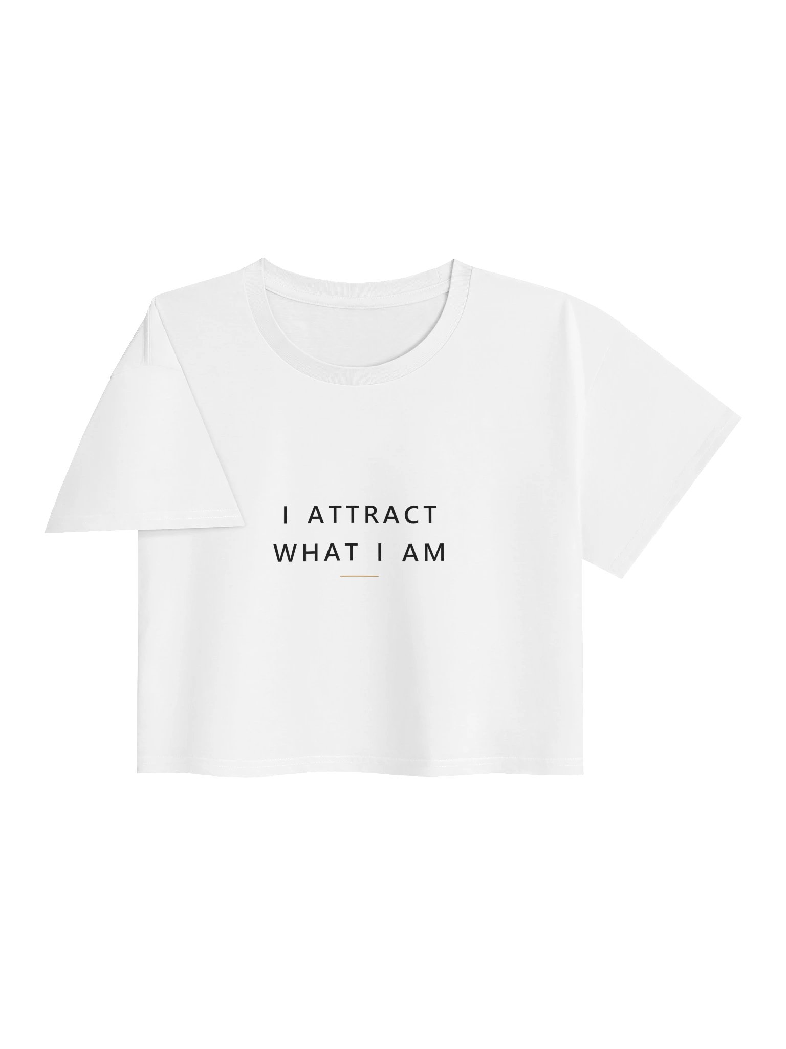 I Attract What I Am Crop Top product image (9)