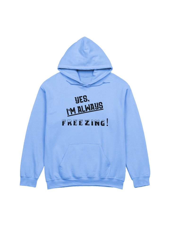 Always Freezing Hoodie product image (25)