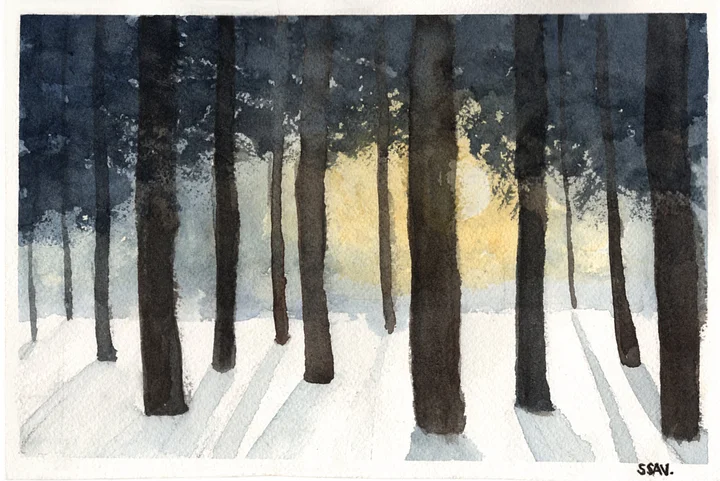 Colorado trees 4x6 print ssav. product image (1)