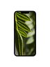 Jacaranda Leaves Digital Wallpaper Set