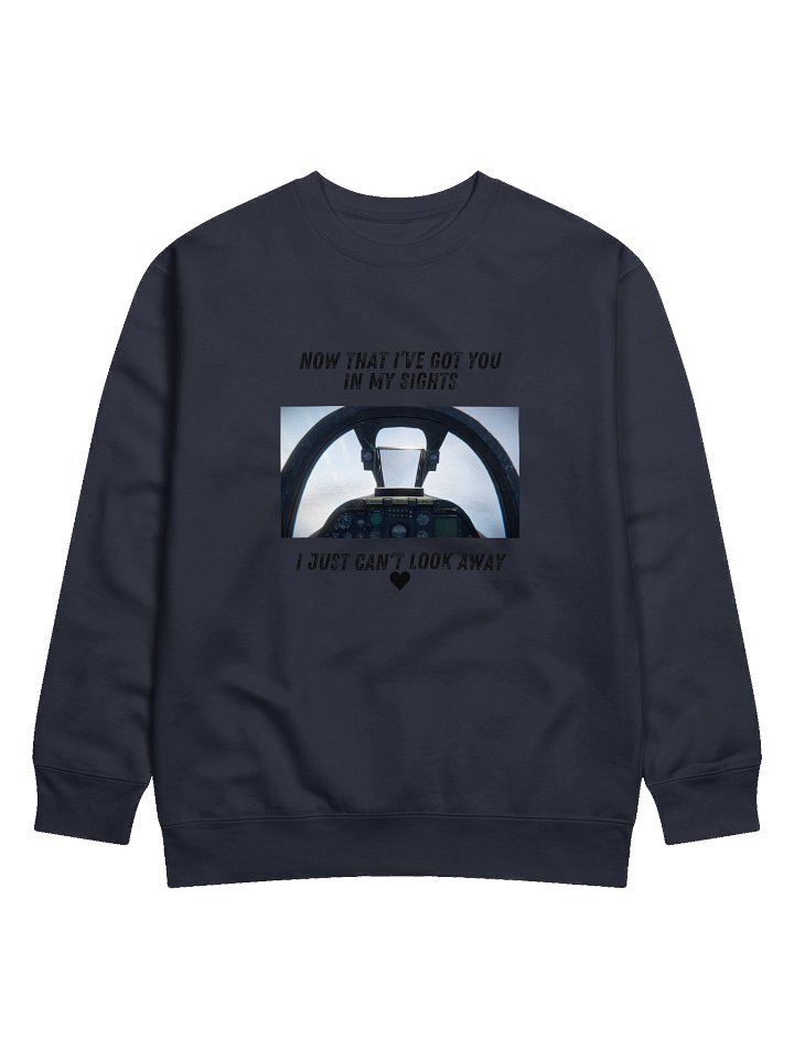 Aerial Eagle Globe Sweatshirt product image (3)