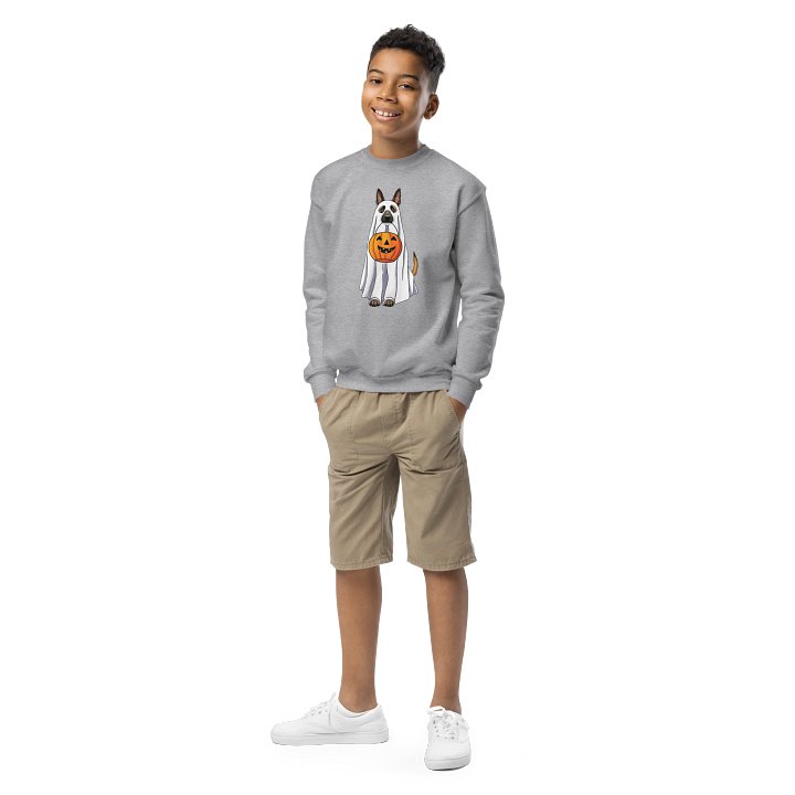 Halloween Belgian Malinois Youth Sweatshirt product image (2)