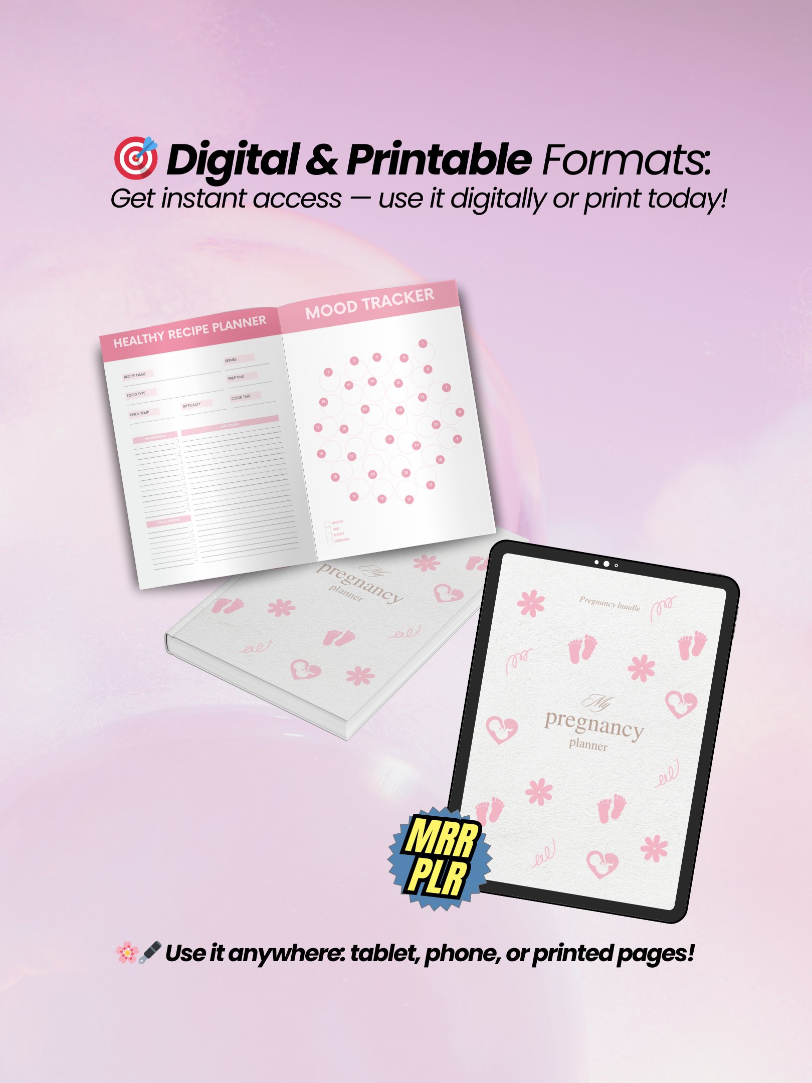 Pregnancy eBook Bundle | 7 Digital Products for New Moms | MRR PLR Bundle product image (4)