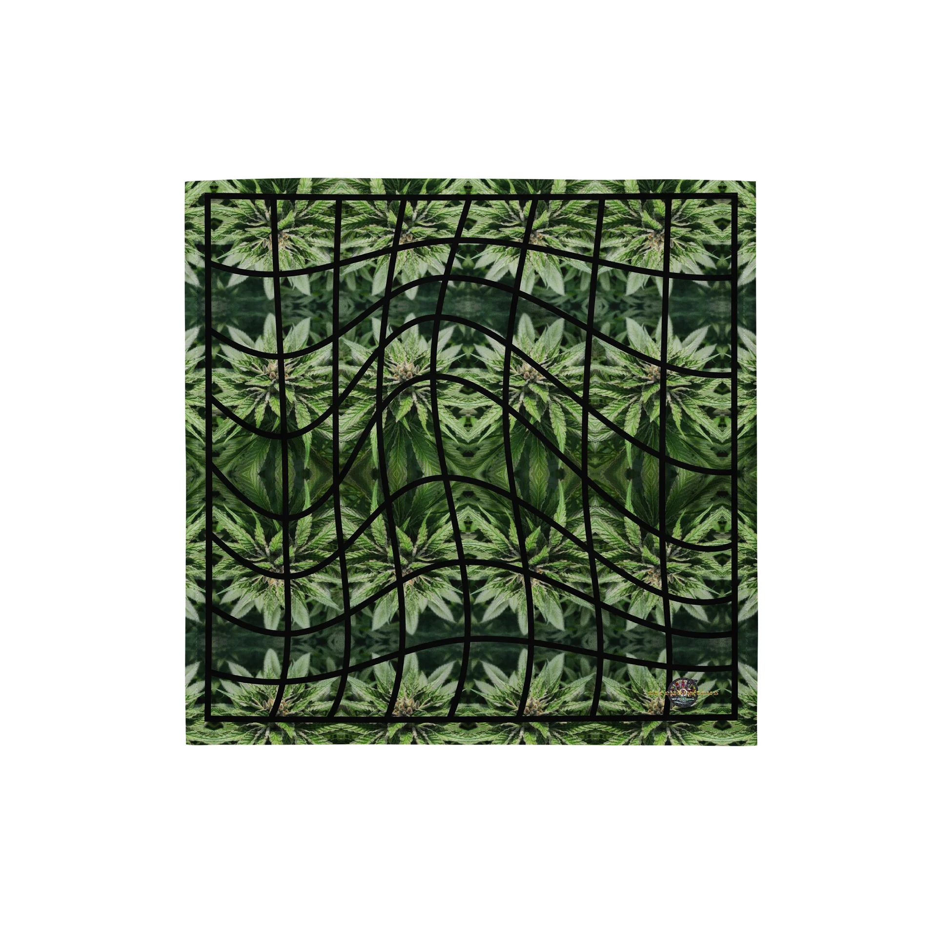 Fascia Cancellata product image (1)