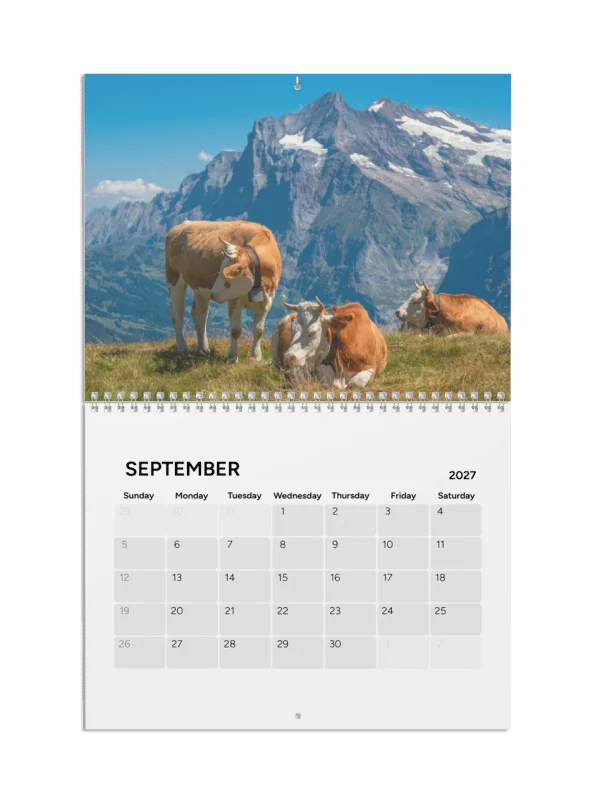 Nature Wonders Switzerland 2027 product image (6)