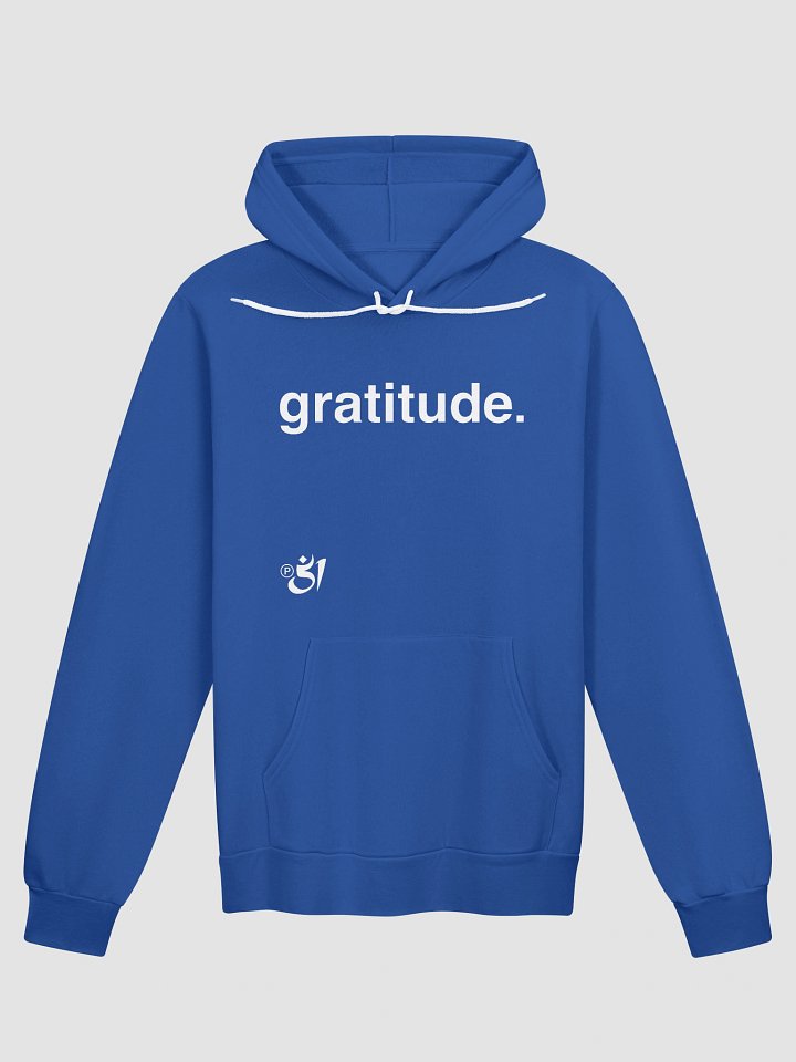 gratitude. hoodie product image (1)