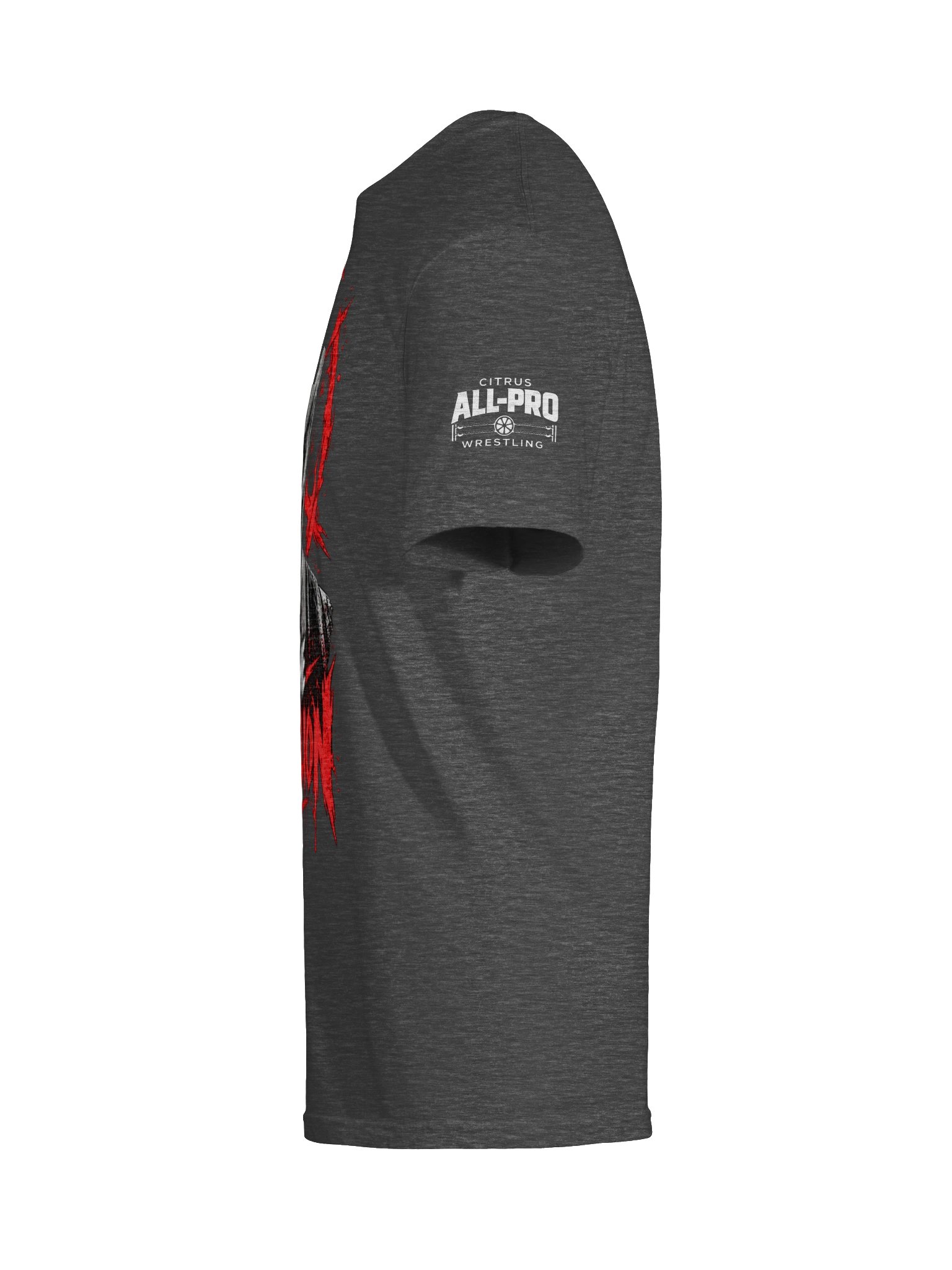 CRIMSON REBELION "For The Rebellion" Tee product image (9)
