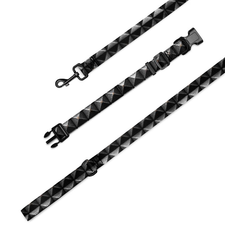 Studs of a God Pet Collar & Leash Set product image (2)