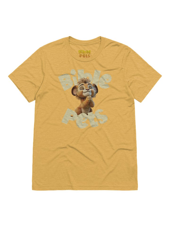 Levi Praying Adult T-Shirt product image (15)