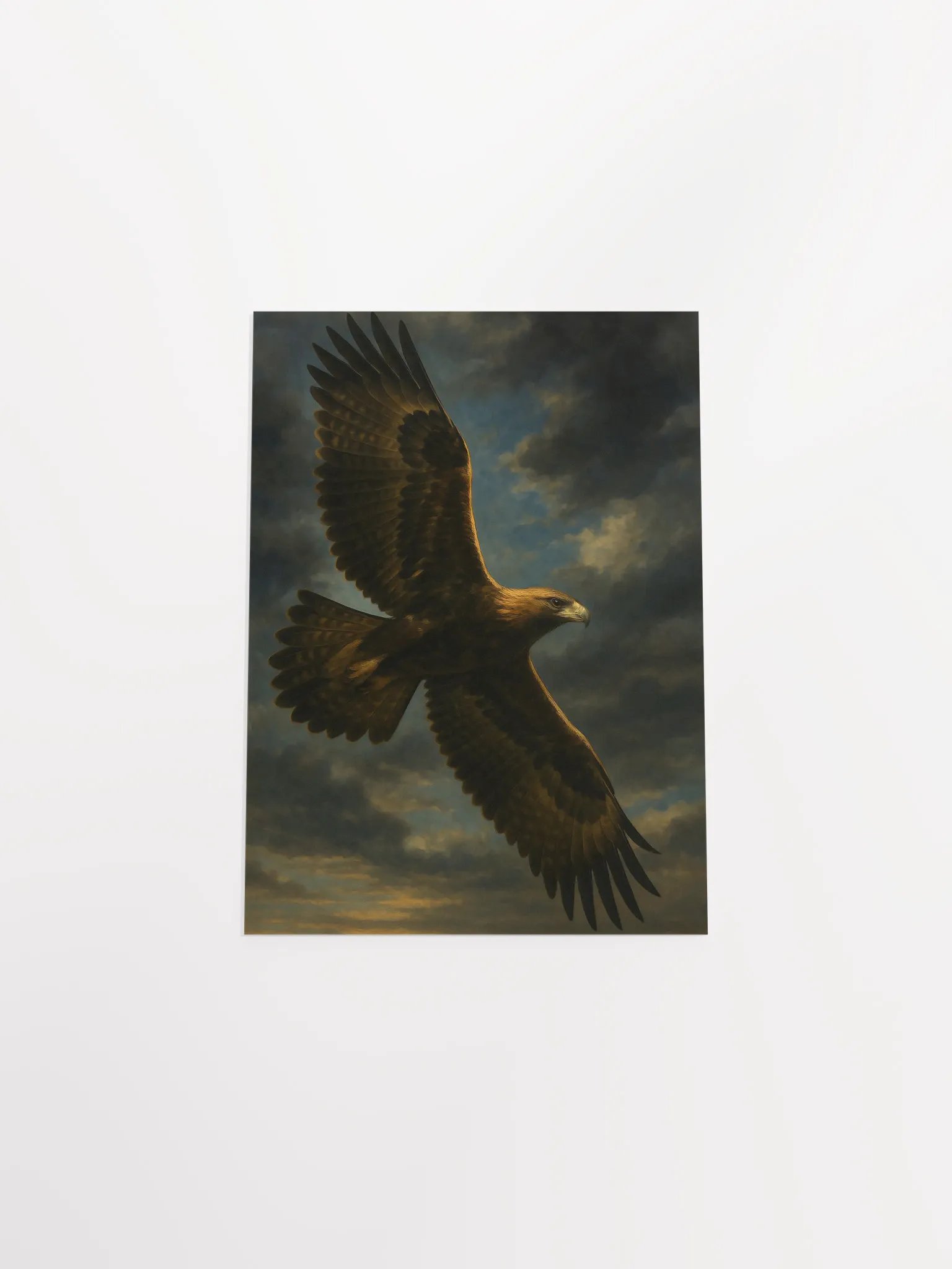 Wedge tailed eagle product image (10)