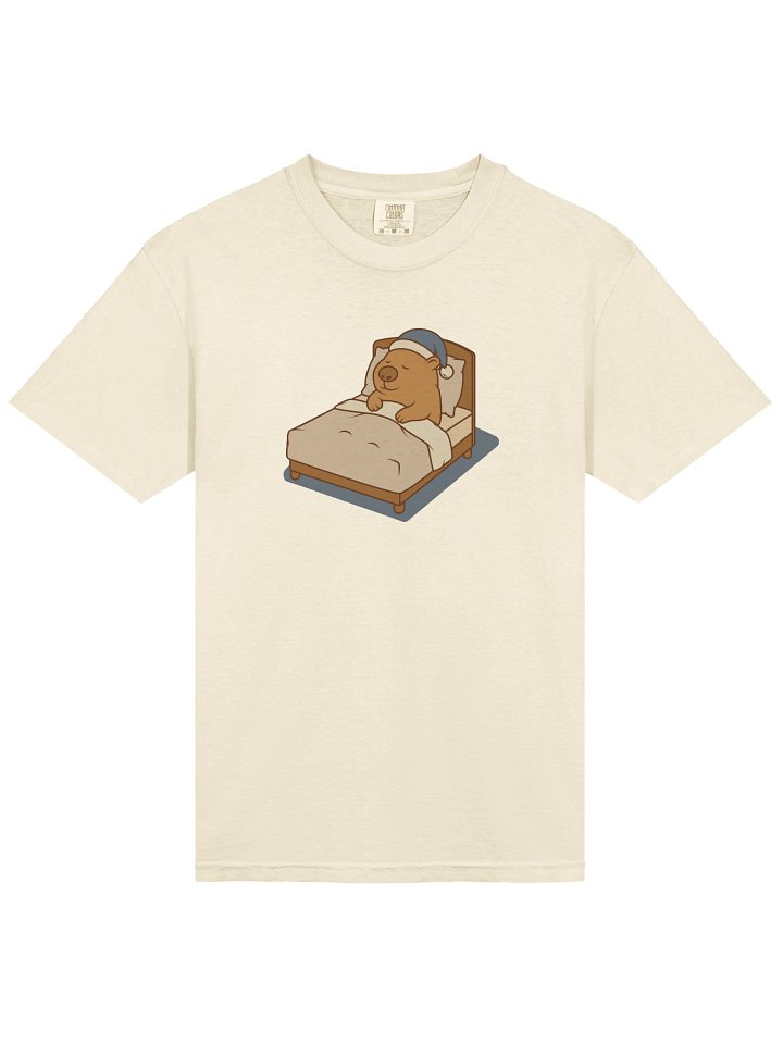 Sleepy Time Cozy Capybara product image (1)