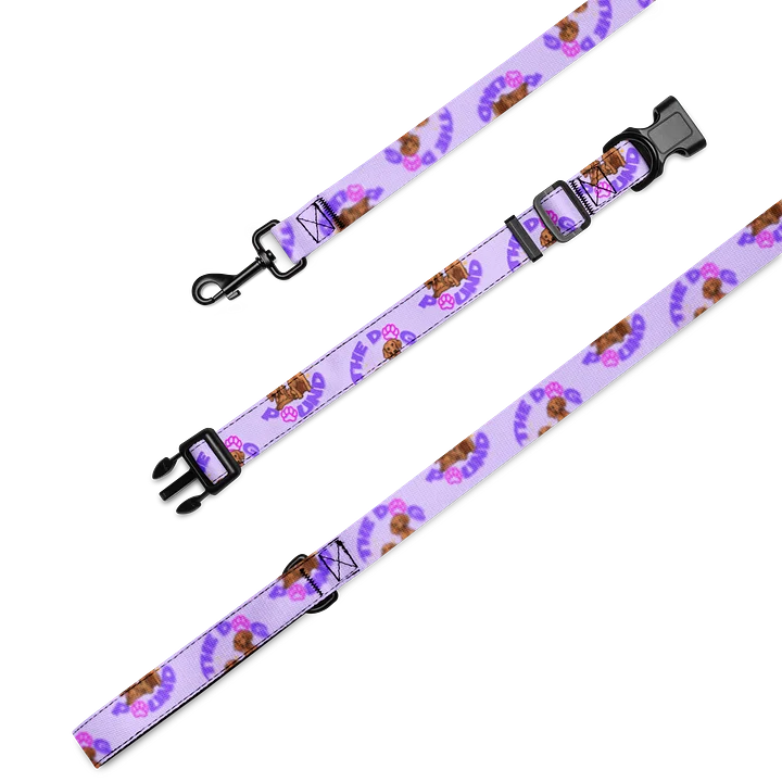 Dog Pound Collar and Leash Set product image (2)