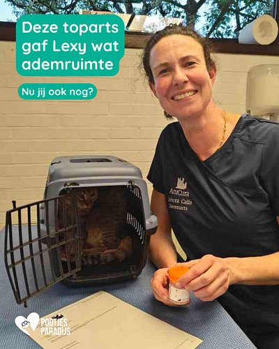 Sommige dierenartsen behandelen niet alleen een patiëntje, maar ook een beetje het hart van iedereen errond 💛

Onze Lexy kwam...