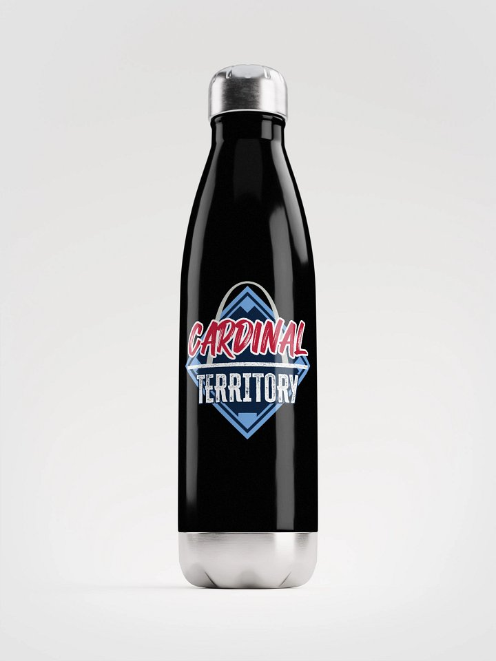 Stainless Steel Water Bottle product image (1)