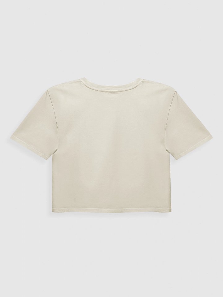 Elf-Maxx inspired Premium Crop Top product image (4)