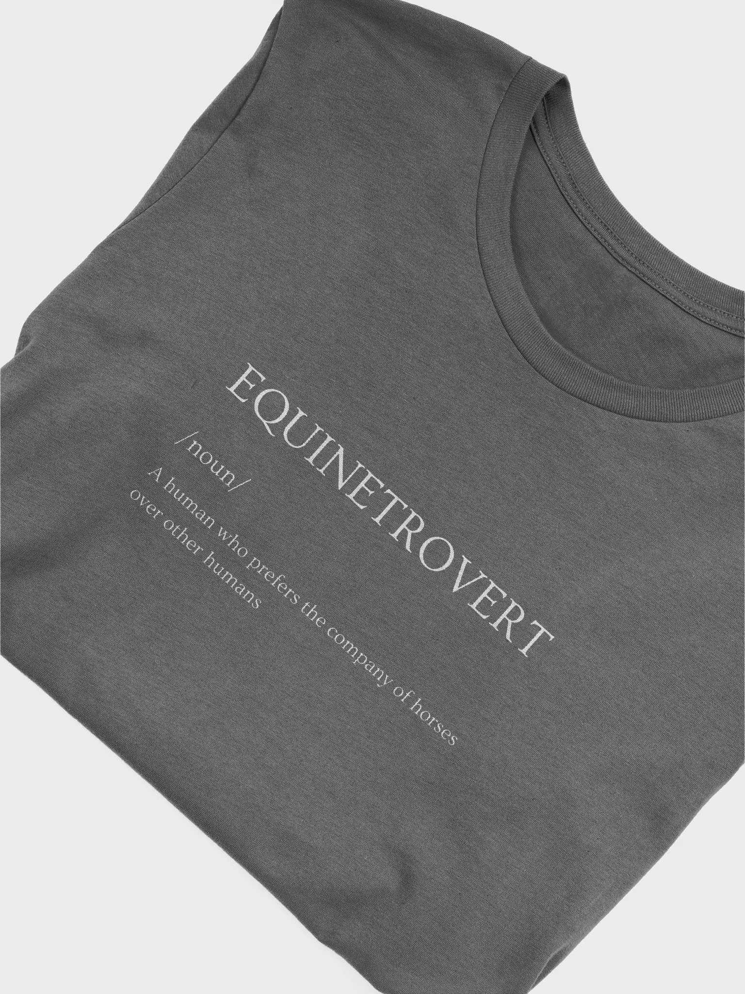 EQUINETROVERT T-Shirt product image (50)