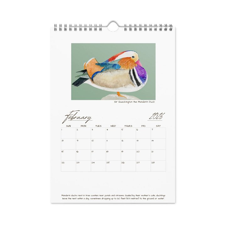 Birds 2026 - watercolour wall calendar (SUN-SAT) product image (2)