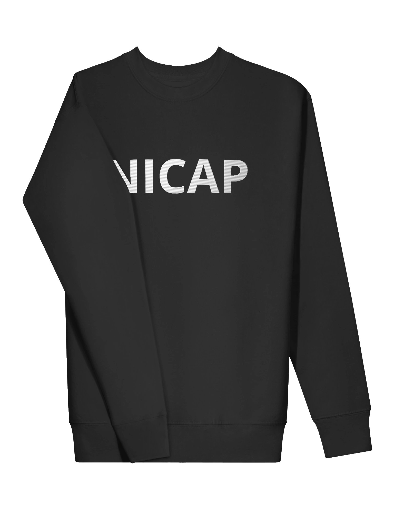NICAP Embroidered Premium Sweatshirt, Fallen Angel, Multiple Colors Sweatshirt, Sci Fi Lovers Gift Sweatshirt product image (3)