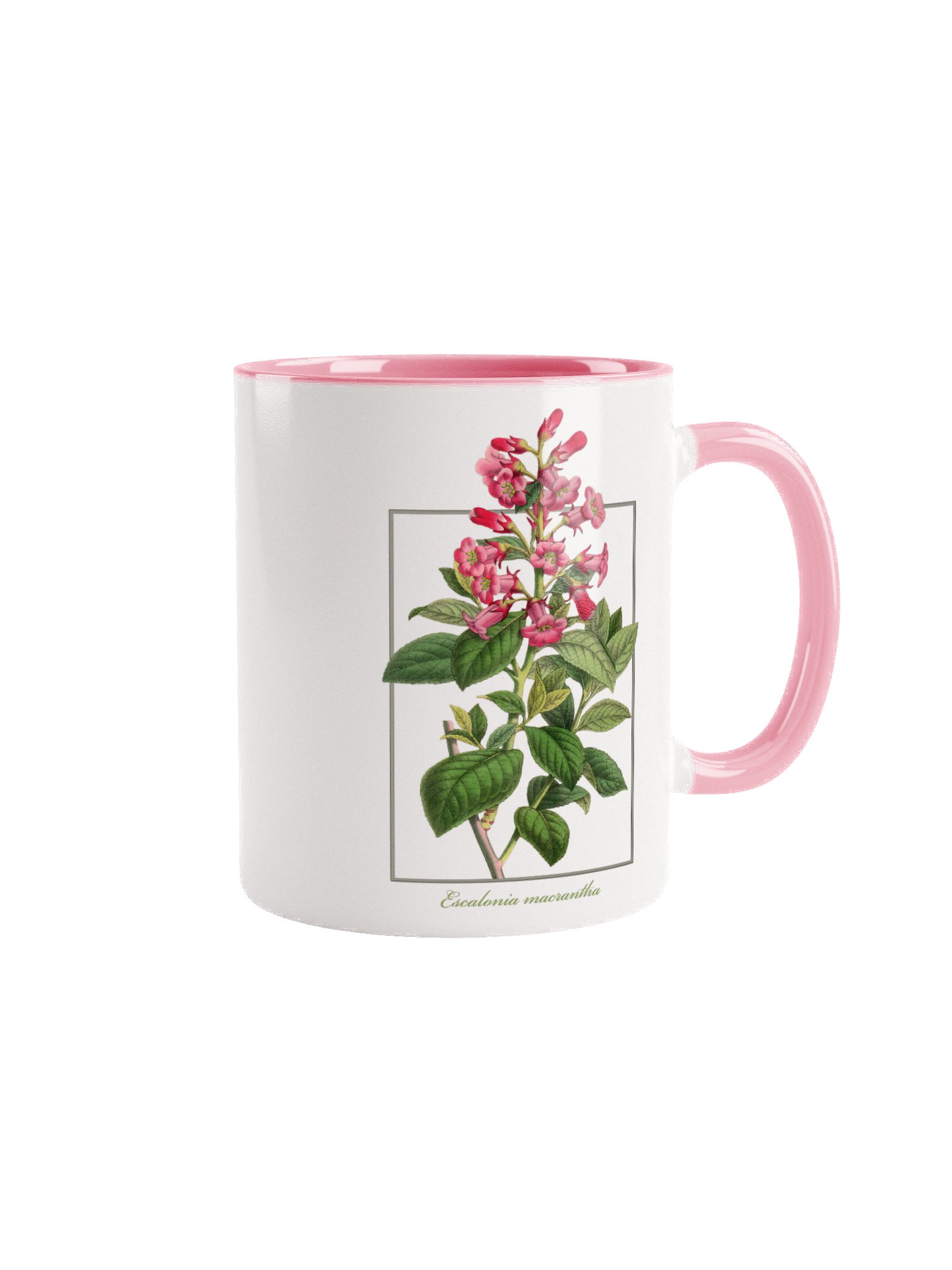 Escalonia Flower - ceramic mug product image (1)