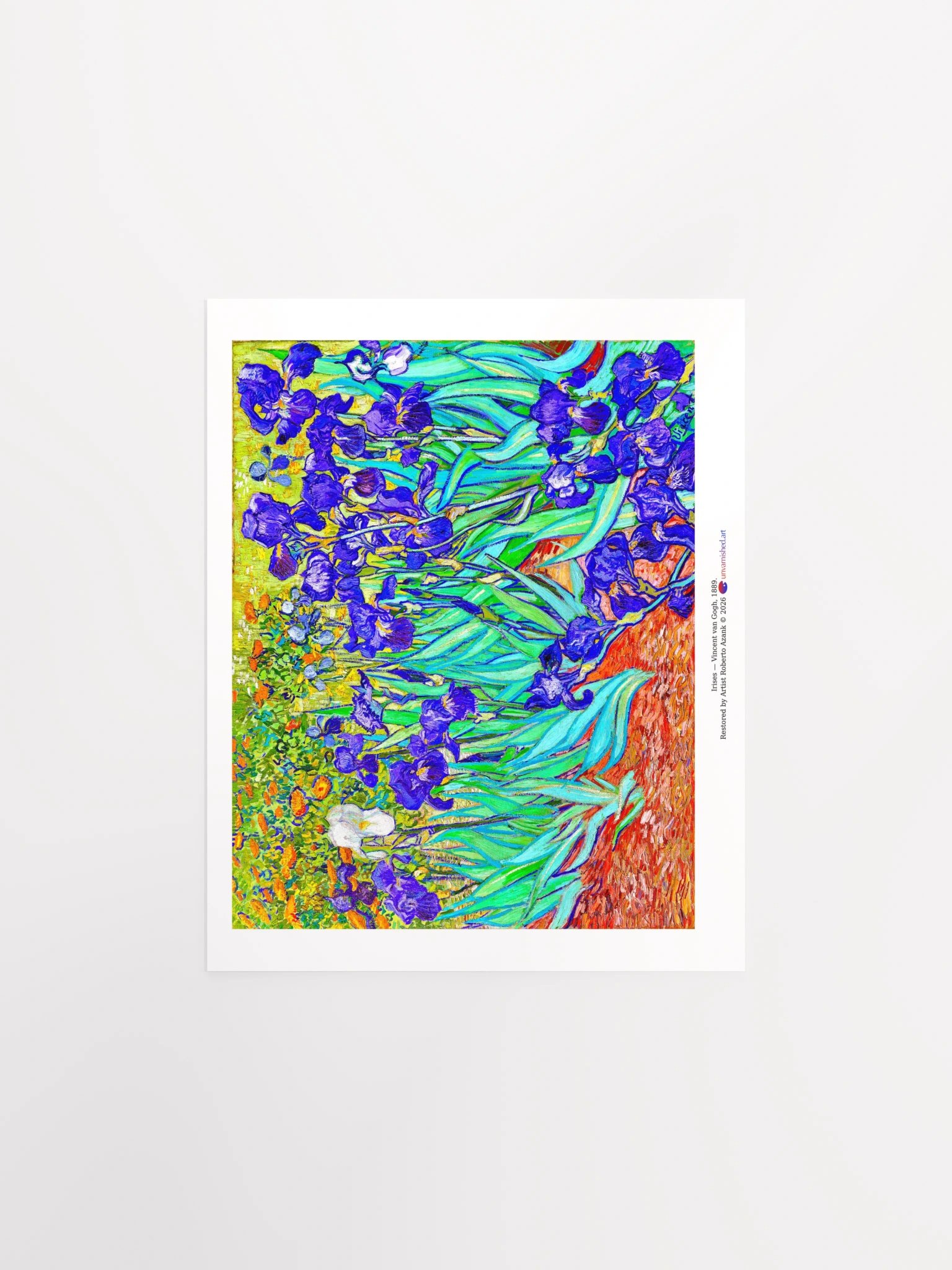 Irises — Poster product image (25)