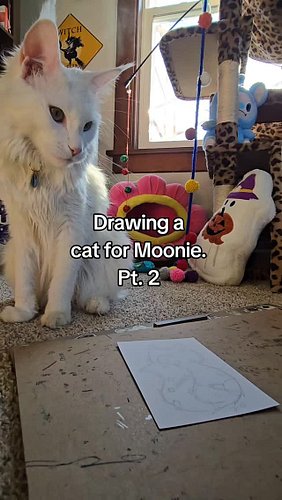 Day 146 of sharing my art. 😻

#artbydevan #devantheartist #artist #cute #handdrawn