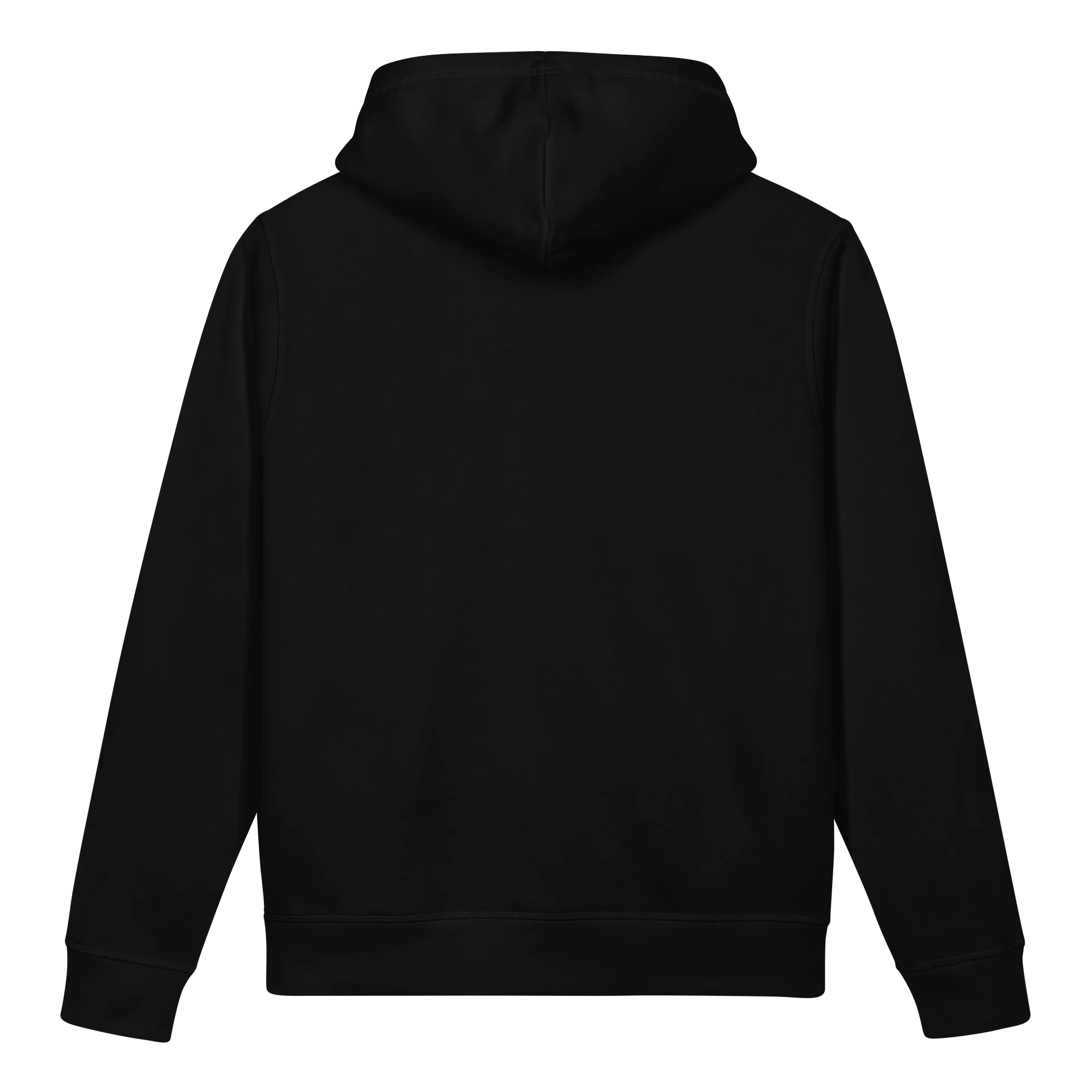 Jr Whips Embroidered Hoodie product image (4)