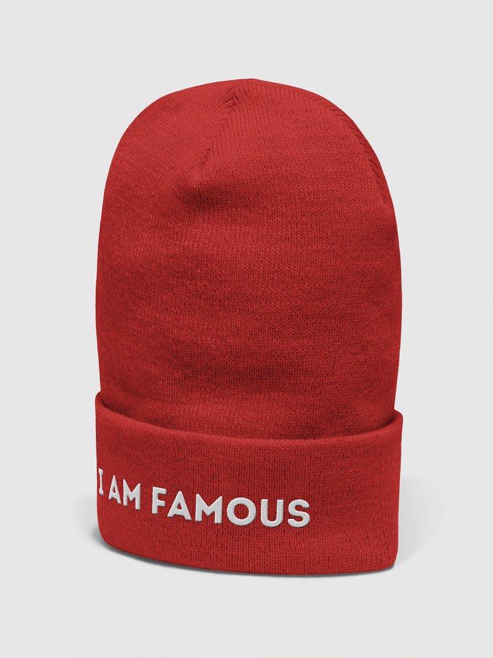 I Am Famous Beanie product image (2)